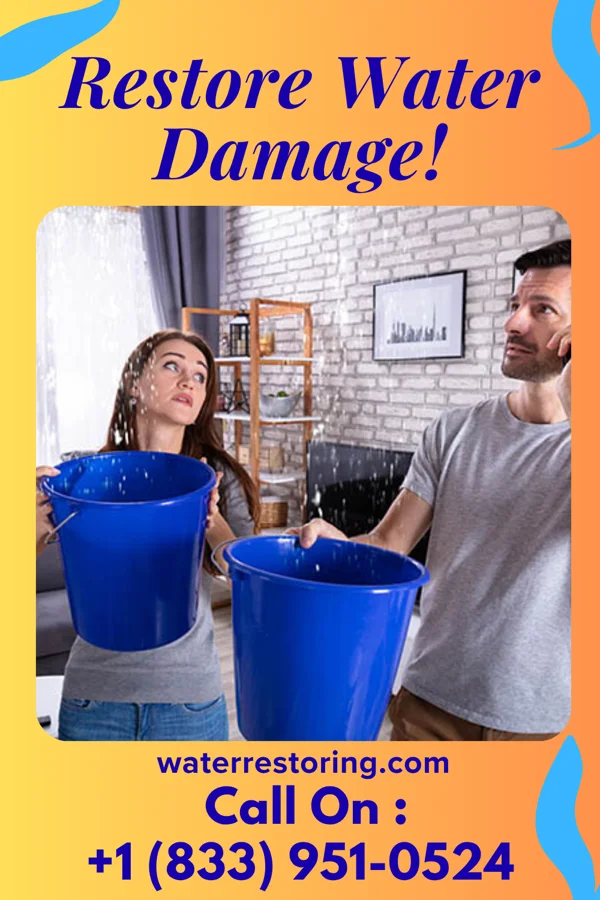 water restoration Eco Cleanup Company Mendota
